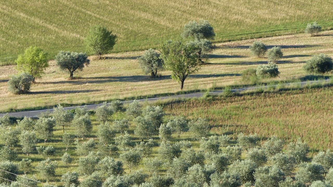 Les Vieux Murs Montfort  Eksteriør billede